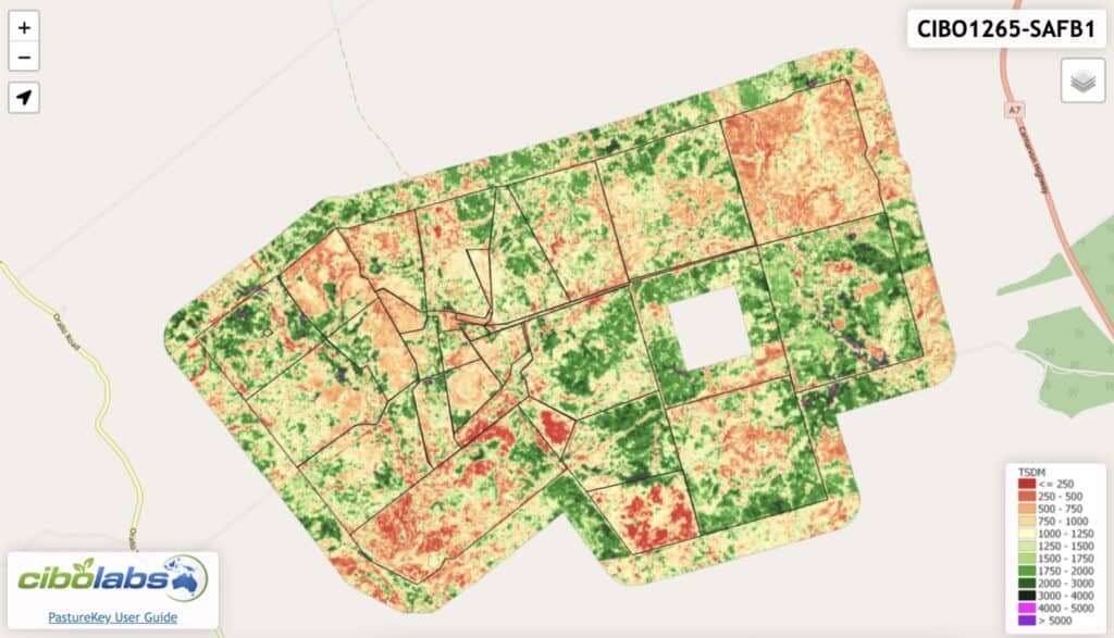 Data-driven grazing: how to use data to forage budget?